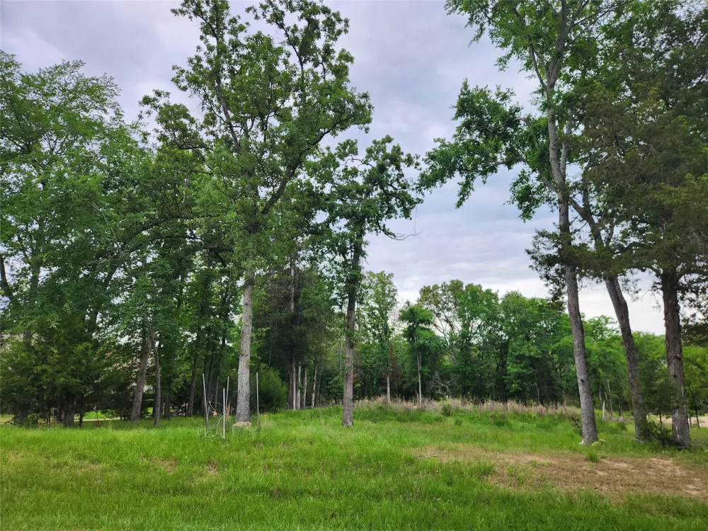 9042 Safari Bluff Larue, TX 75770