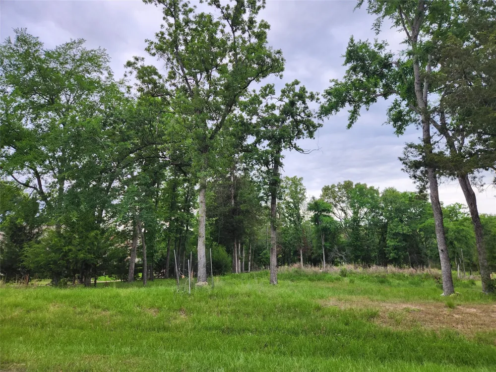 9042 Safari Bluff Larue, TX 75770