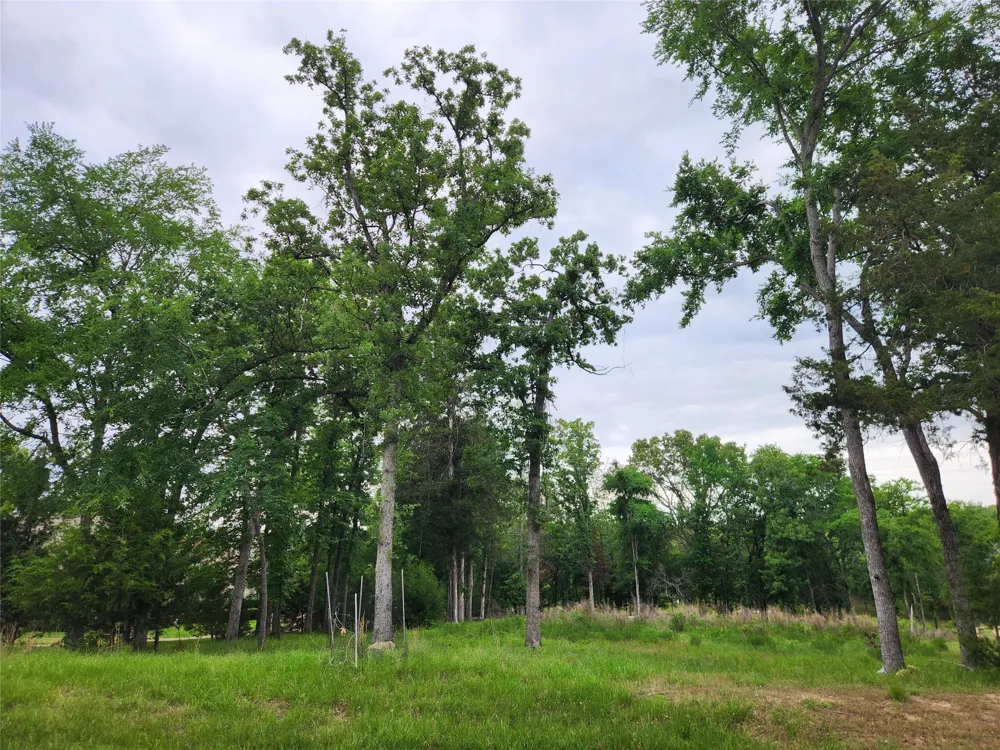 9042 Safari Bluff Larue, TX 75770