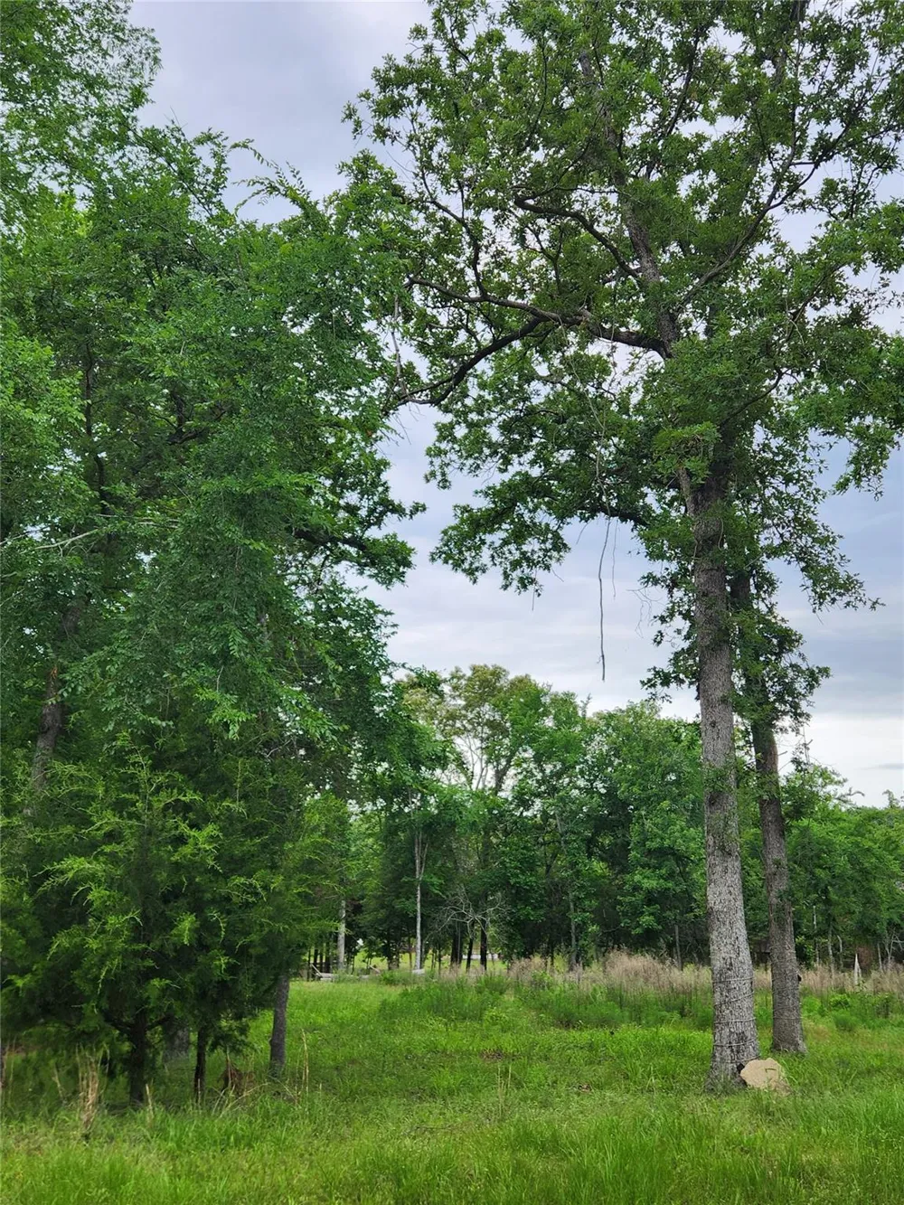 9042 Safari Bluff Larue, TX 75770