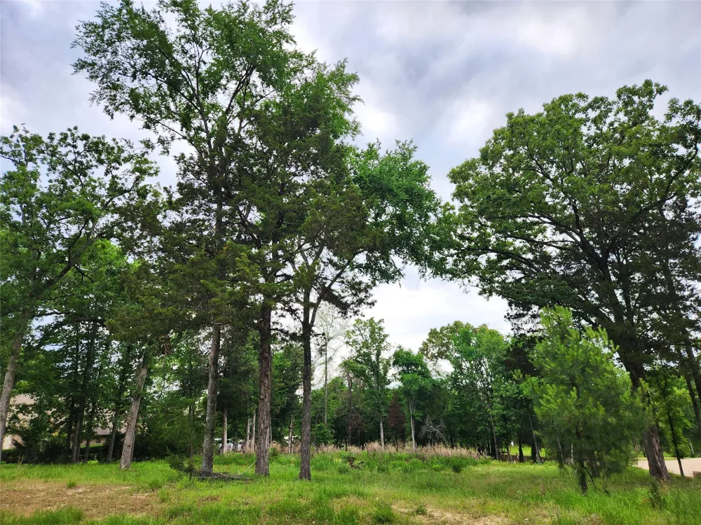 9042 Safari Bluff Larue, TX 75770