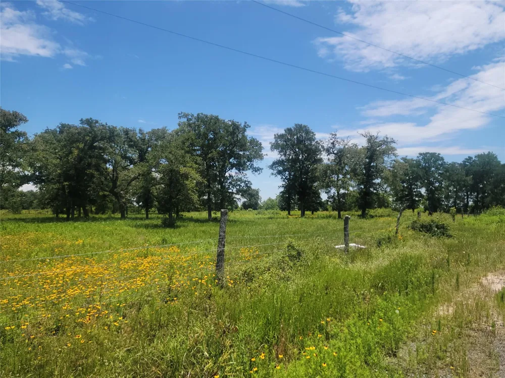 323 Summit Road Eagle Lake, TX 77434
