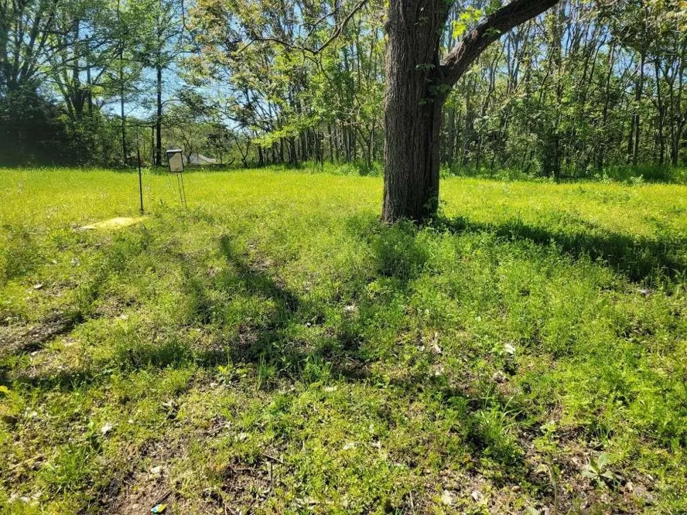 805 4th Street NW Paris, TX 75460