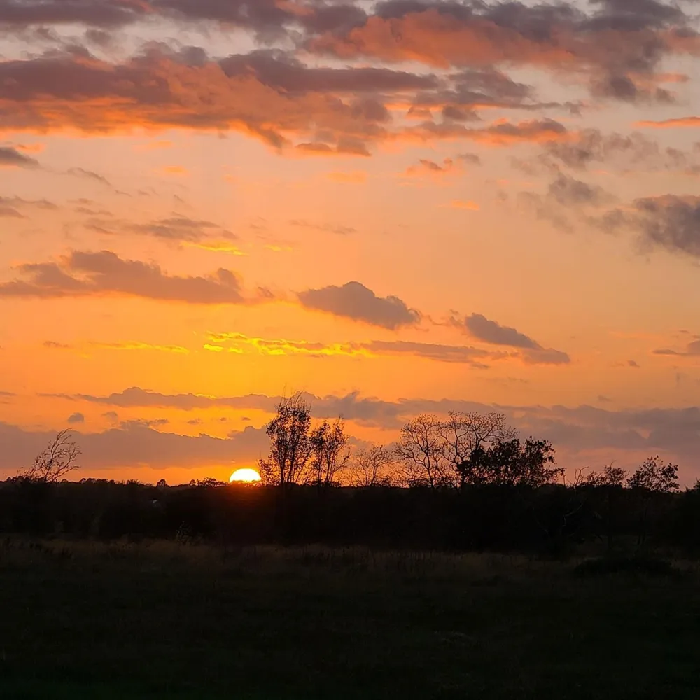 14029 Cochran Road Waller, TX 77445