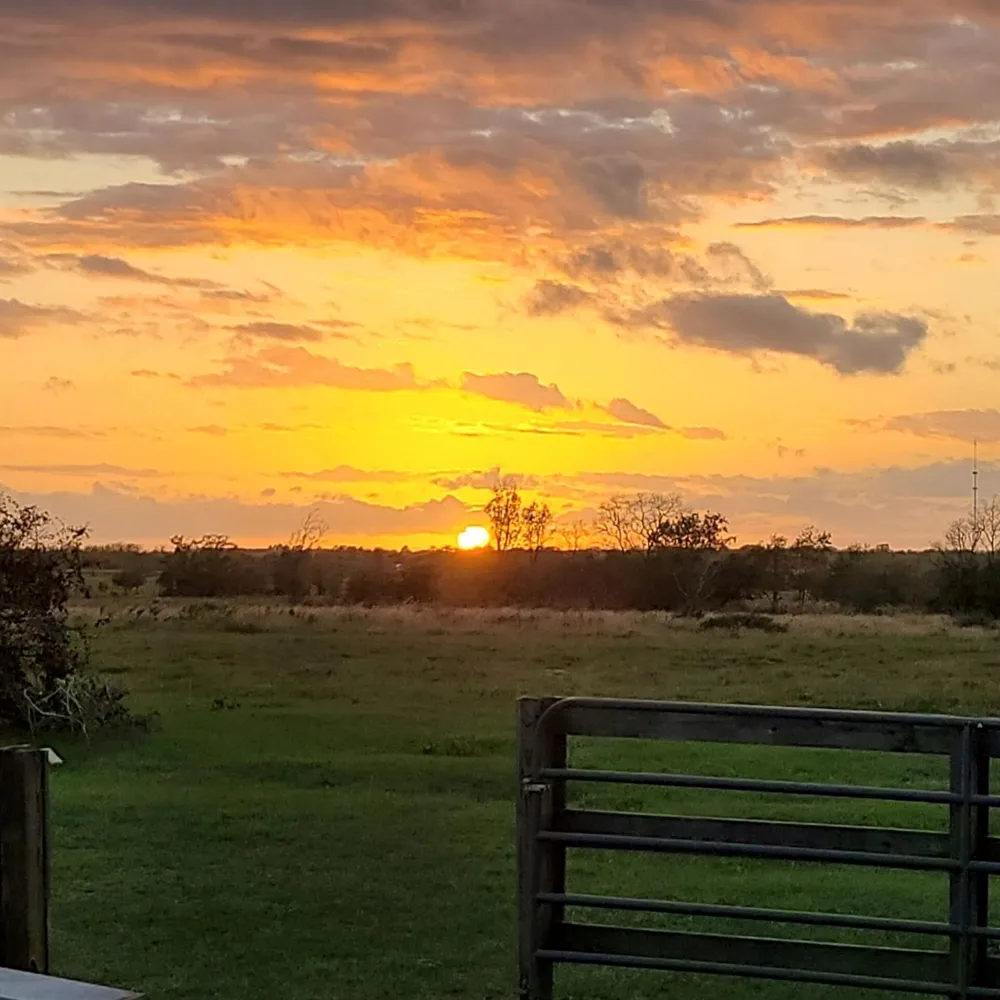 14029 Cochran Road Waller, TX 77445