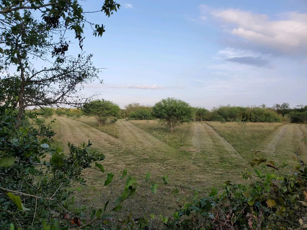 14029 Cochran Road Waller, TX 77445