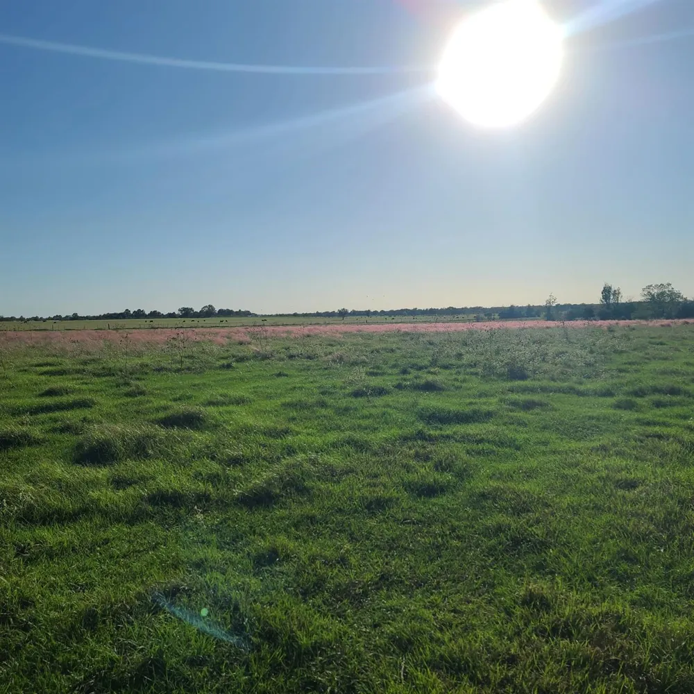 14029 Cochran Road Waller, TX 77445