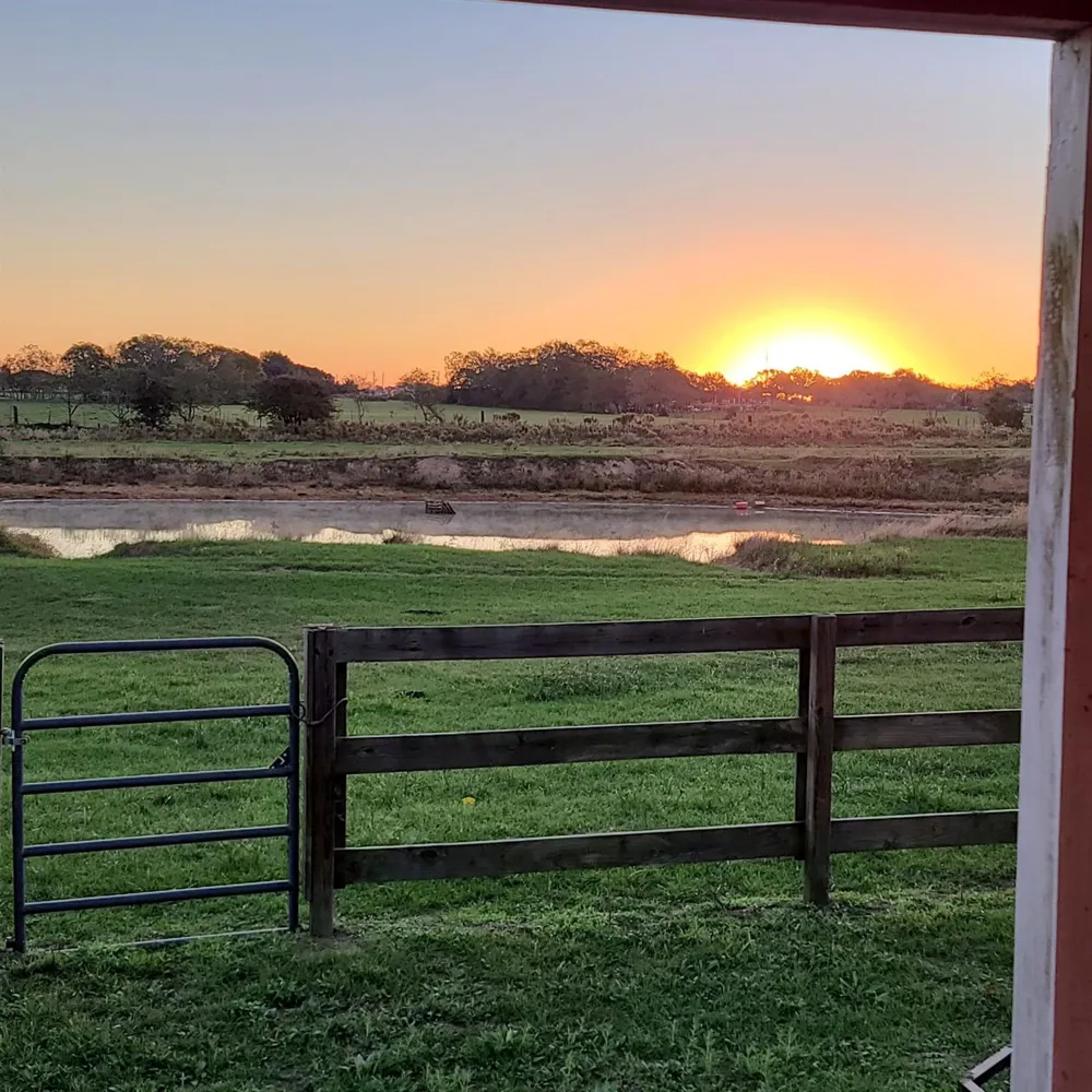 14029 Cochran Road Waller, TX 77445