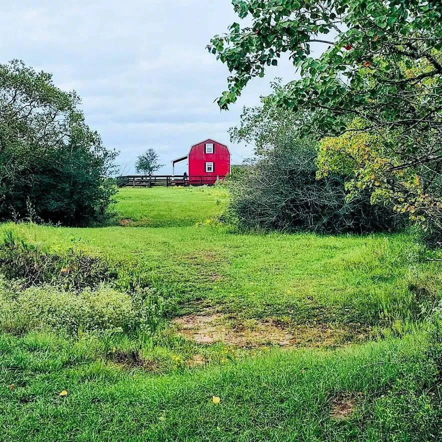 14029 Cochran Road Waller, TX 77445