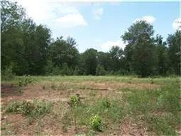 37121 Fm 1774 Road Magnolia, TX 77355