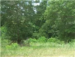 37121 Fm 1774 Road Magnolia, TX 77355