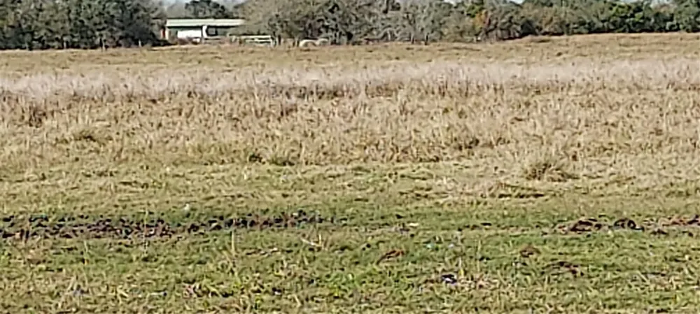 11700 Fm 2004 Alvin, TX 77510