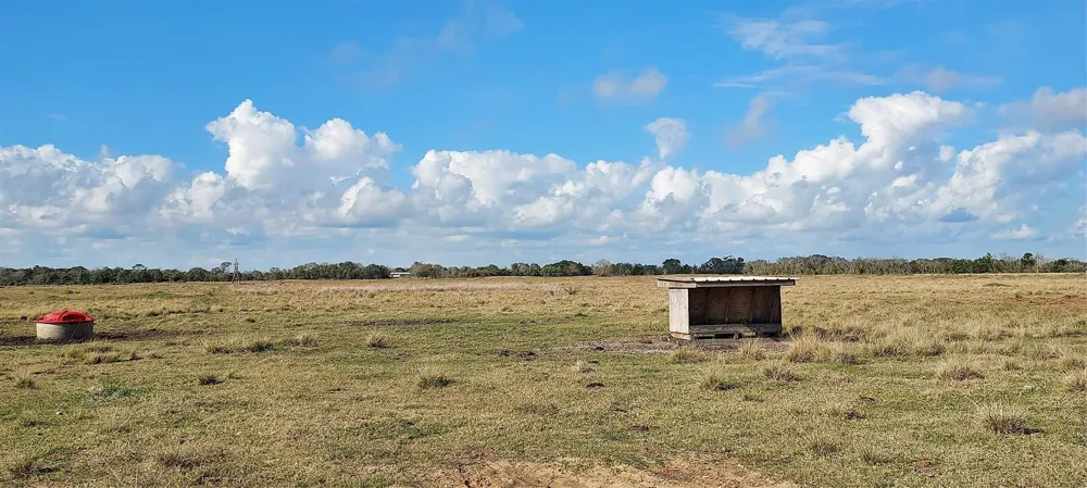 11700 Fm 2004 Alvin, TX 77510