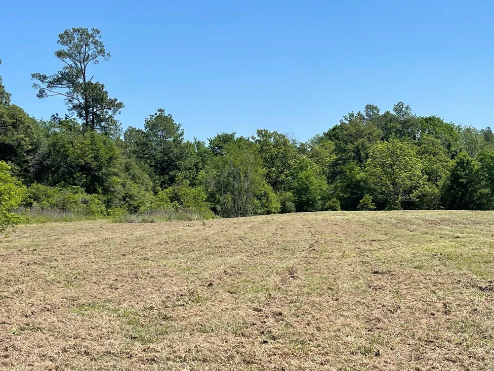 State Highway 19 S Lovelady, TX 75851