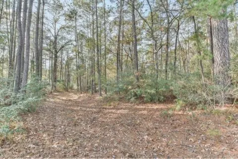 16400 E Fm 1097 Road