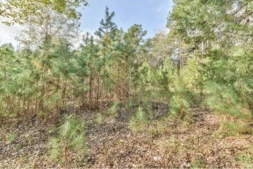 16400 E Fm 1097 Road Willis, TX 77378