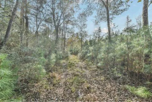 16400 E Fm 1097 Road Willis, TX 77378