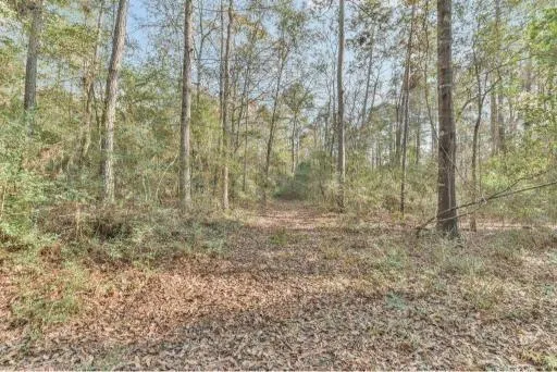 16400 E Fm 1097 Road Willis, TX 77378