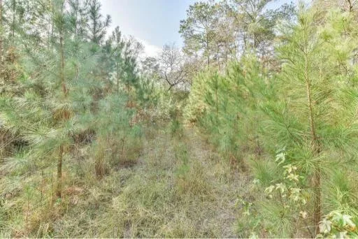 16400 E Fm 1097 Road Willis, TX 77378