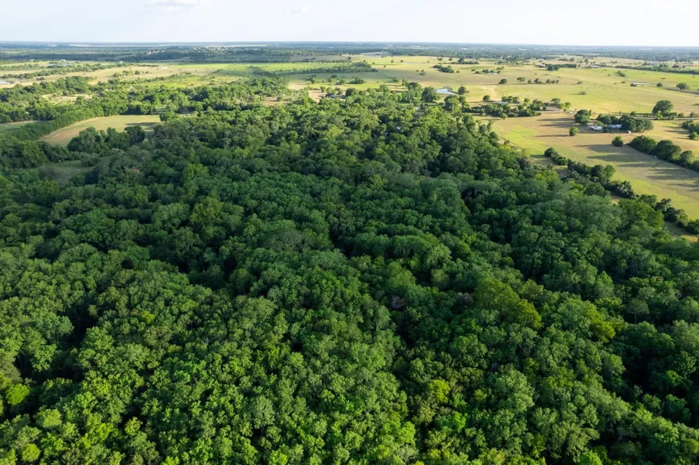 12515 Whitman Road Washington, TX 77880