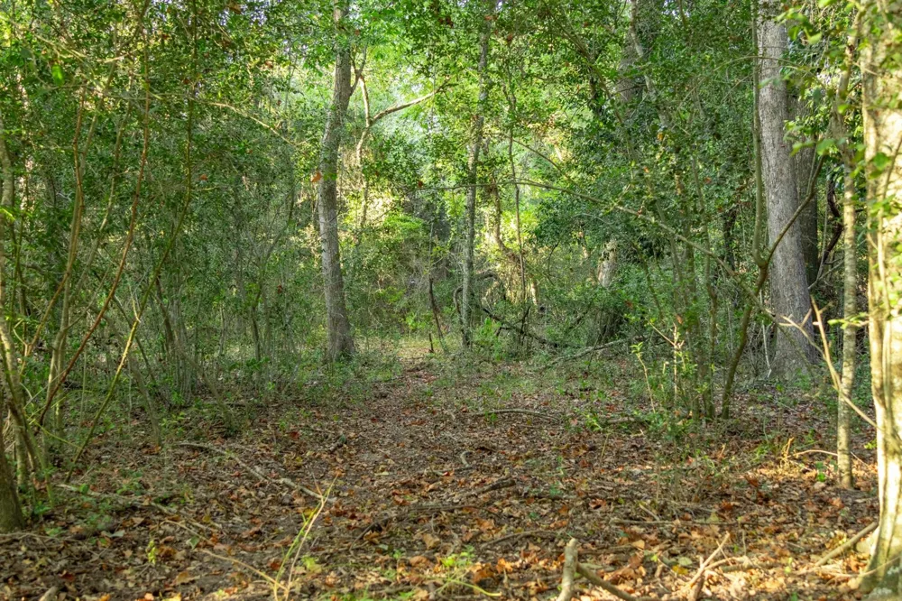12515 Whitman Road Washington, TX 77880