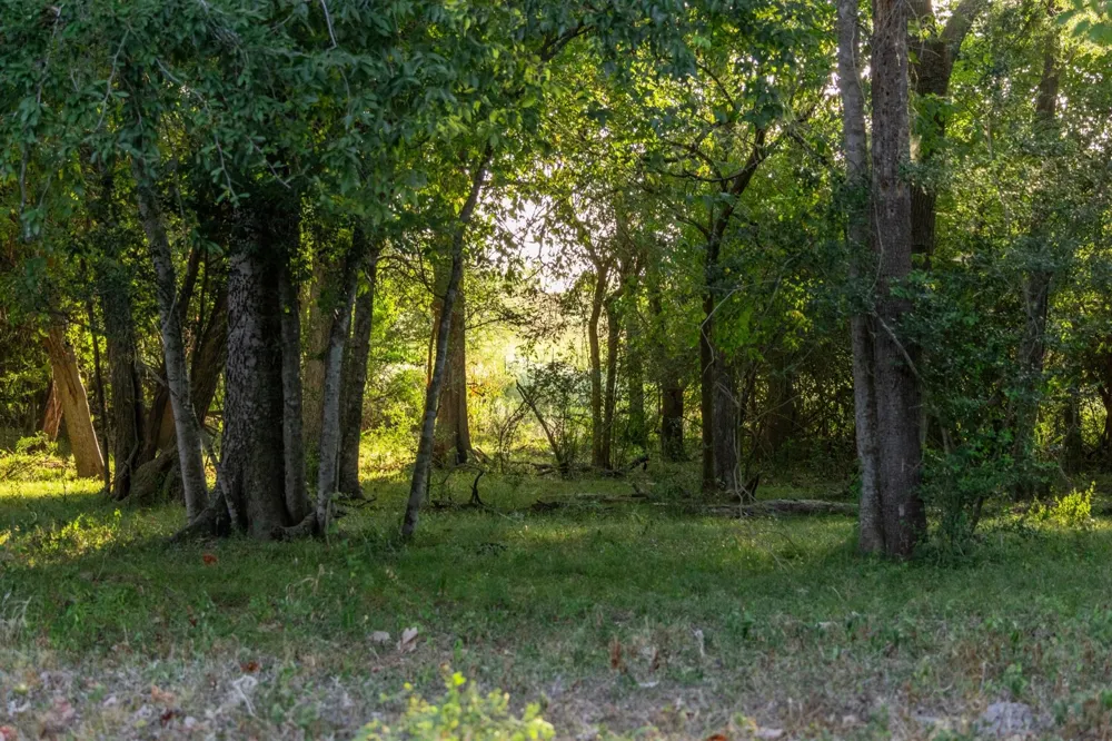 12515 Whitman Road Washington, TX 77880