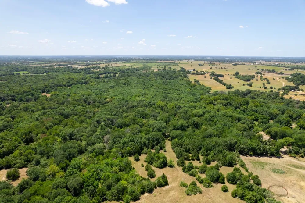 12515 Whitman Road Washington, TX 77880