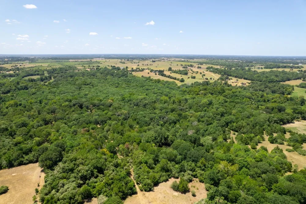 12515 Whitman Road Washington, TX 77880