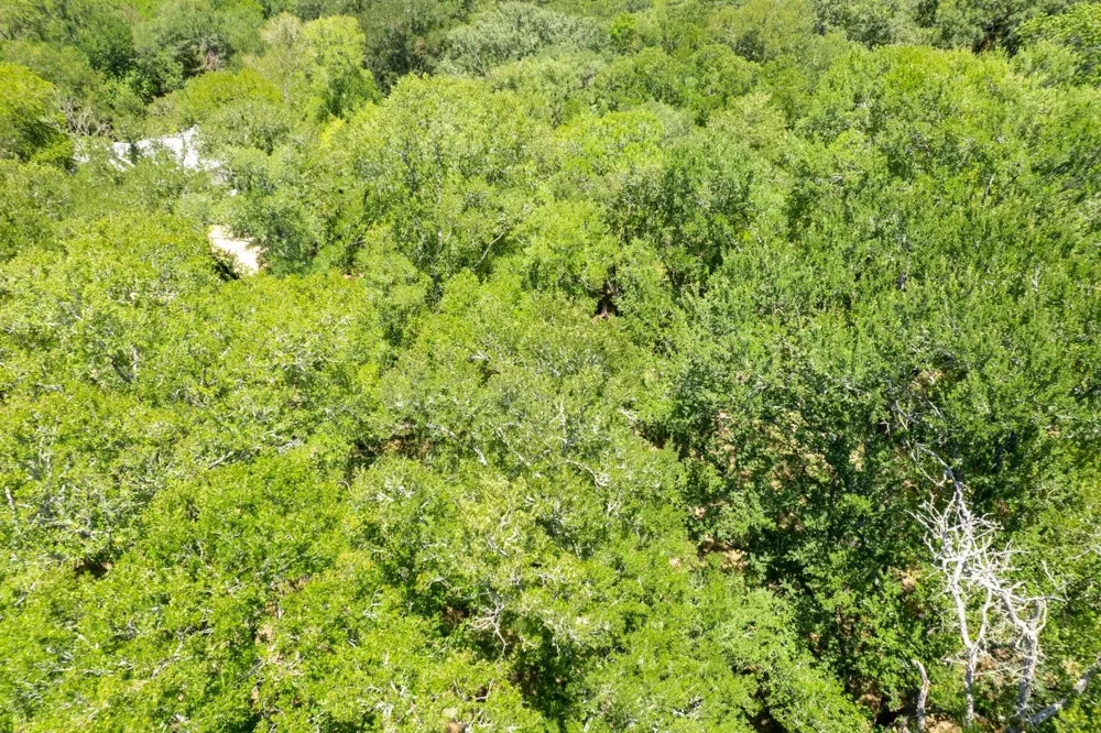 12515 Whitman Road Washington, TX 77880