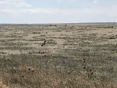 Wcr 85, Briggsdale