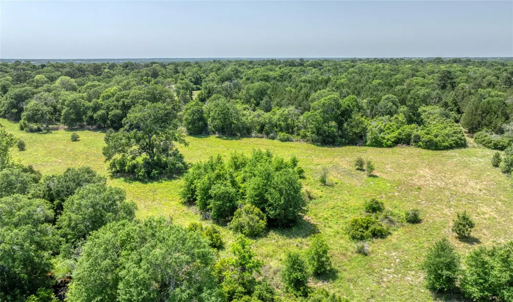 299 Bellwood Lake Lane Bellville, TX 77418