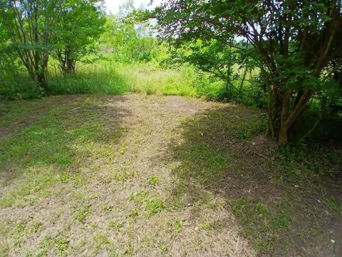 2018 County Road 4009