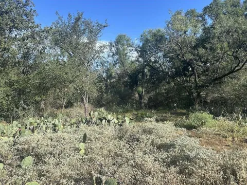 Glen Forest Drive