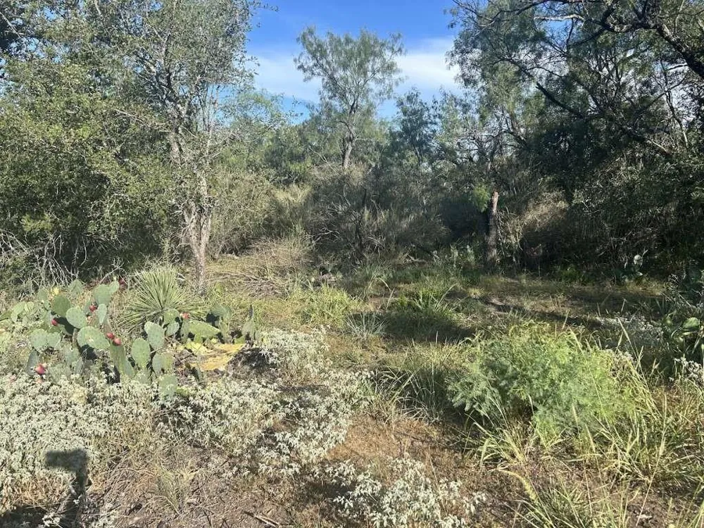 Glen Forest Drive Granite Shoals, TX 78654