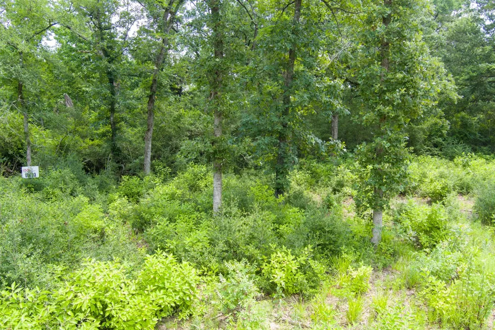 6837 Private Road 1280 Centerville, TX 75833
