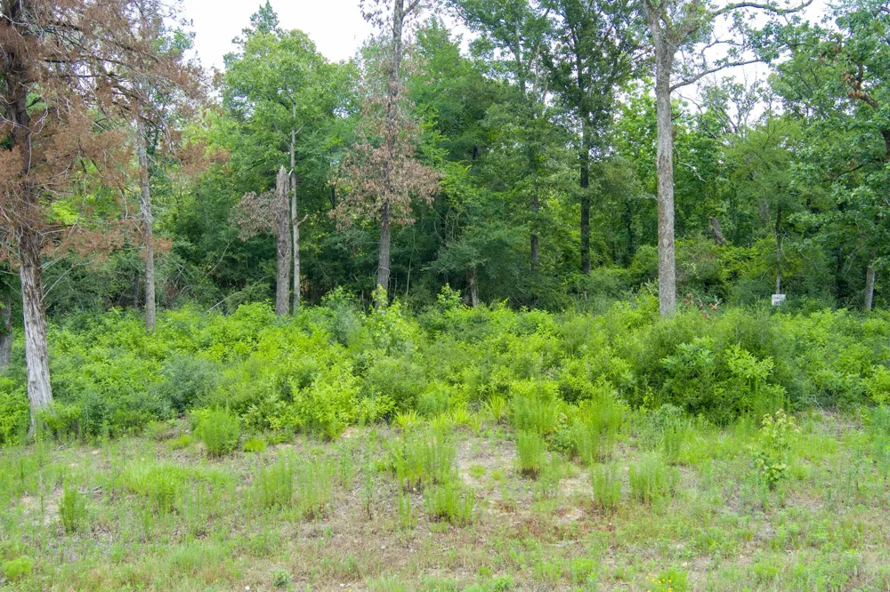 6837 Private Road 1280 Centerville, TX 75833