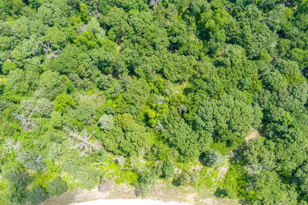 6837 Private Road 1280 Centerville, TX 75833