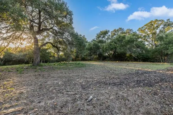 Drake Lane - Lot 23 Round Top, TX 78954