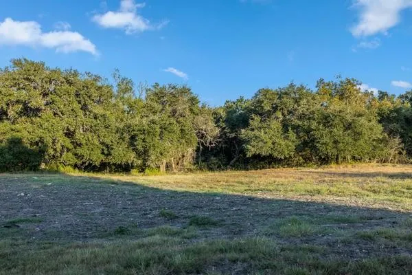 Drake Lane - Lot 23 Round Top, TX 78954