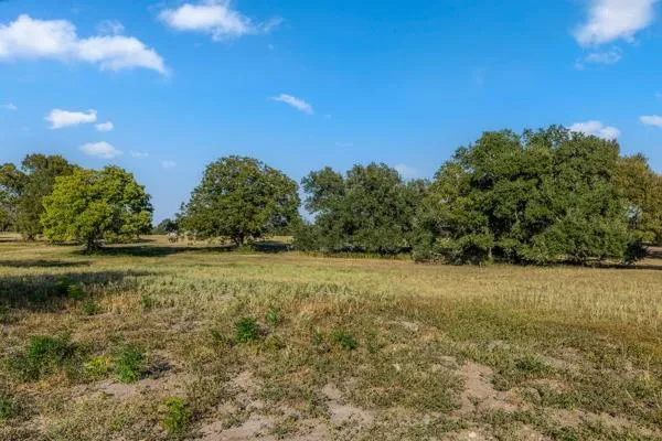 Drake Lane-Lot 2 Round Top, TX 78954