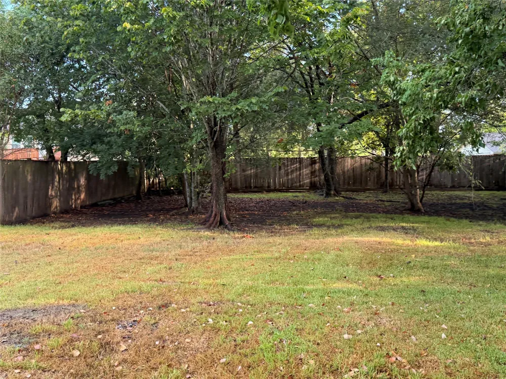 442 Baywood Street Shenandoah, TX 77571
