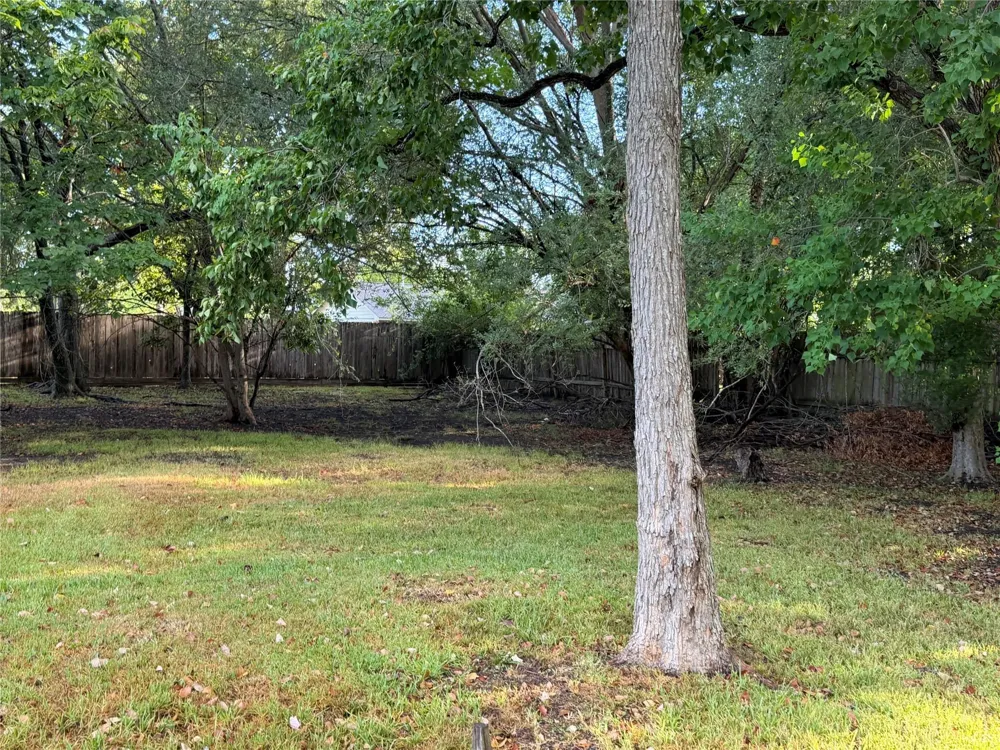 442 Baywood Street Shenandoah, TX 77571