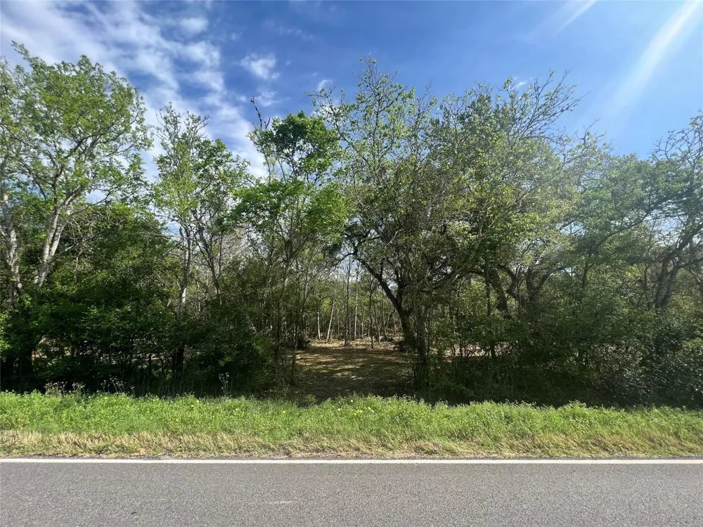 10186 County Road 400 Brazoria, TX 77422