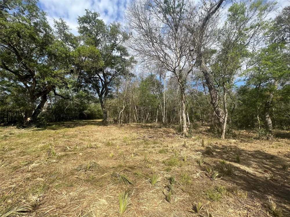 10186 County Road 400 Brazoria, TX 77422