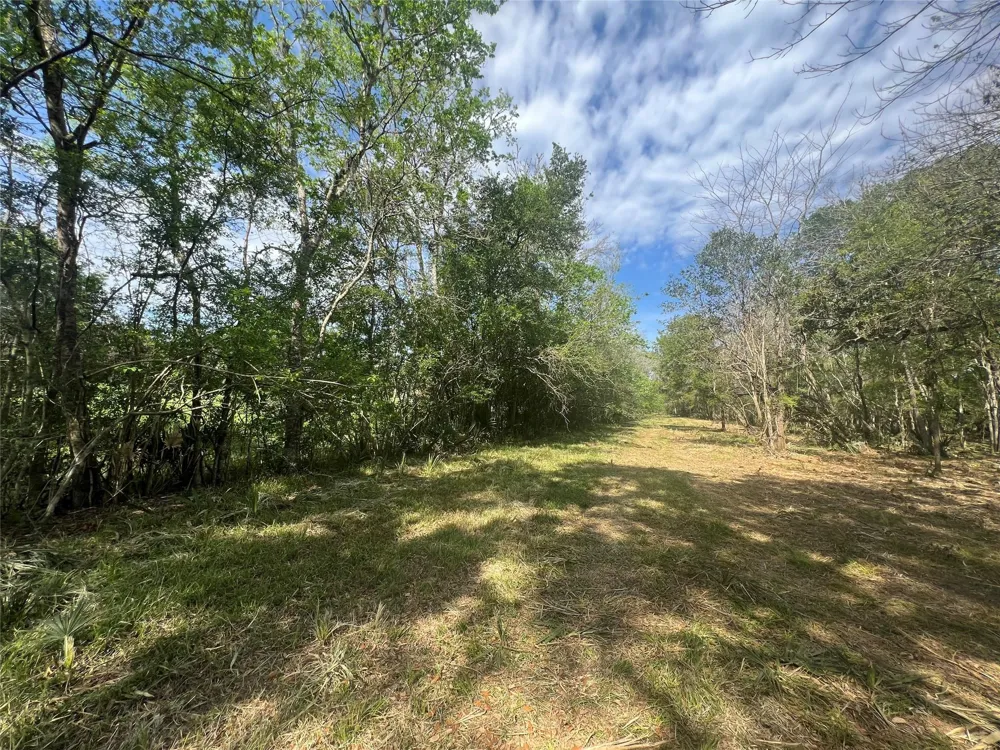 10186 County Road 400 Brazoria, TX 77422