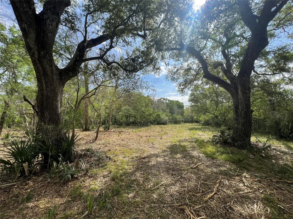 10186 County Road 400 Brazoria, TX 77422