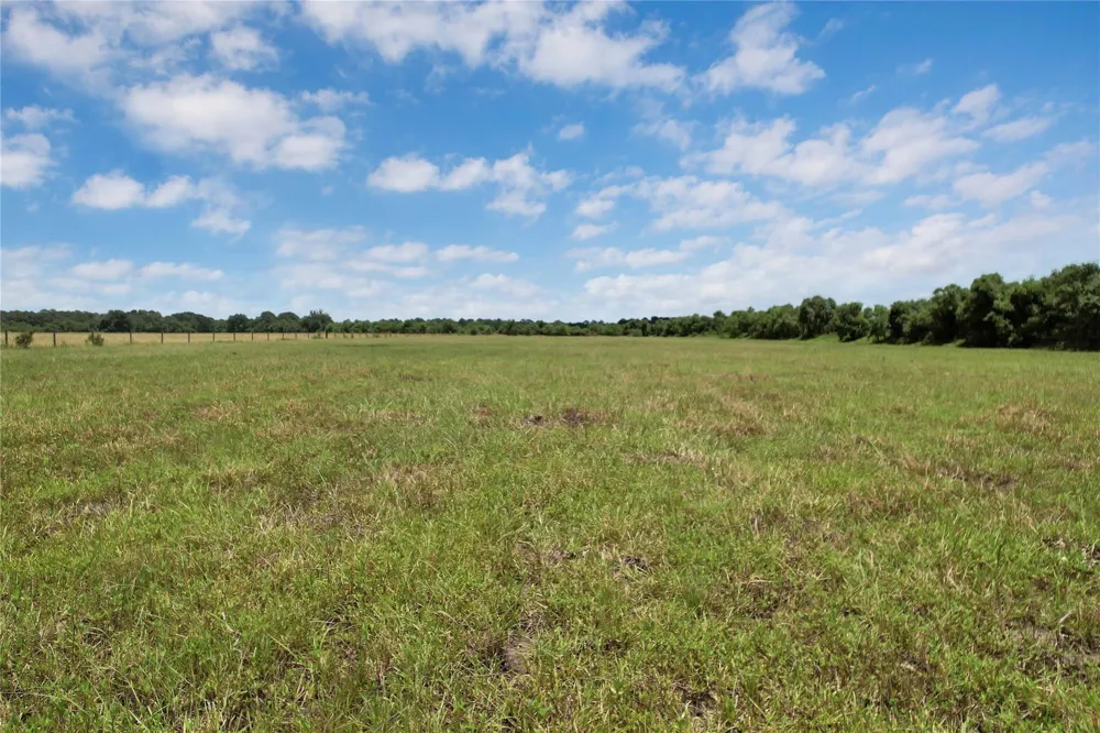 Jobe Wilson Road Anahuac, TX 77514
