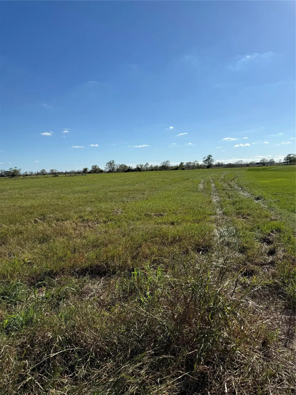 8 Fm 457 Bay City, TX 77414