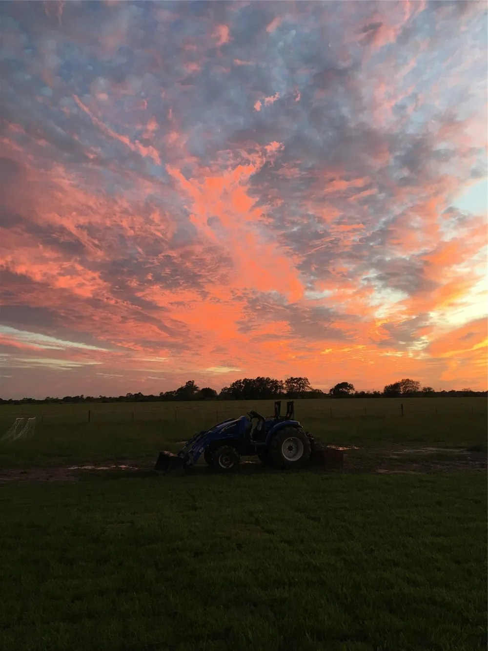 8 Fm 457 Bay City, TX 77414