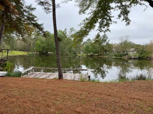 29 Thomas Lake Road Riverside, TX 77367